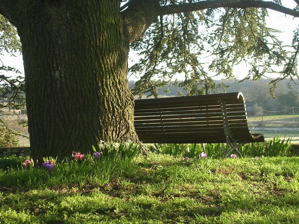Bed and Breakfast Chateau De La Noblaye Lemere Екстер'єр фото