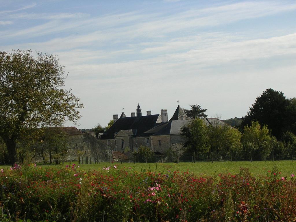 Bed and Breakfast Chateau De La Noblaye Lemere Екстер'єр фото